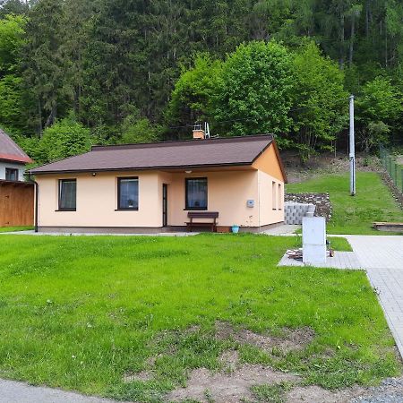 Lisny 105 Cely Novy Dum Se Zahradou U Jizery A Cyklo-Stezky New House By Jizera River And Bicycle Path Zelezny Brod 외부 사진