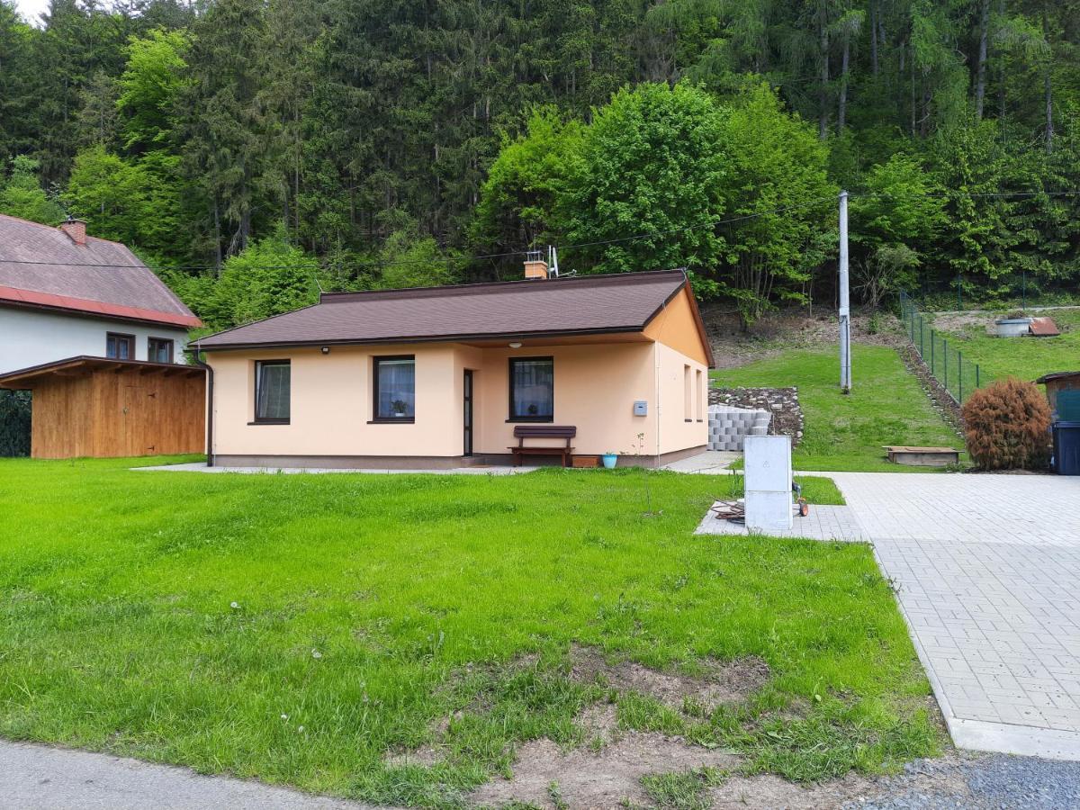 Lisny 105 Cely Novy Dum Se Zahradou U Jizery A Cyklo-Stezky New House By Jizera River And Bicycle Path Zelezny Brod 외부 사진