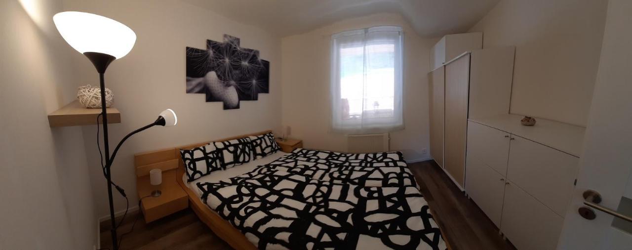 Lisny 105 Cely Novy Dum Se Zahradou U Jizery A Cyklo-Stezky New House By Jizera River And Bicycle Path Zelezny Brod 외부 사진